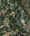 Shaws Flat Road, between Elk Drive and Braida Way—NorCal Tree map